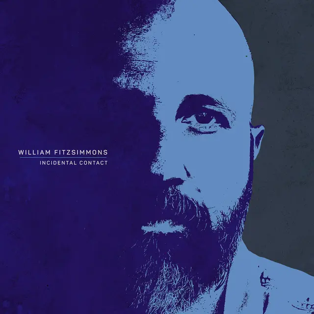 William Fitzsimmons Incidental Contact (LP) 