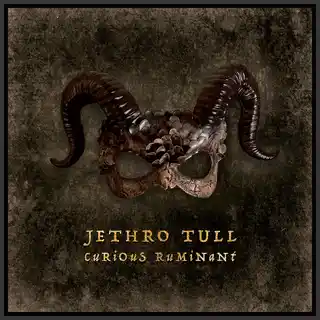 Jethro Tull Curious Ruminant: Deluxe… - LTD (2CD+BD)