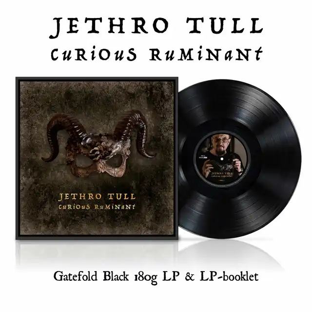 Jethro Tull Curious Ruminant (LP) 