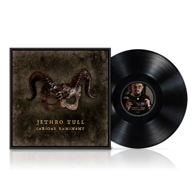 Jethro Tull Curious Ruminant (LP) 