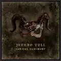 Jethro Tull Curious Ruminant (LP)