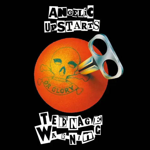 Angelic Upstarts Teenage Warning - LTD (LP) 