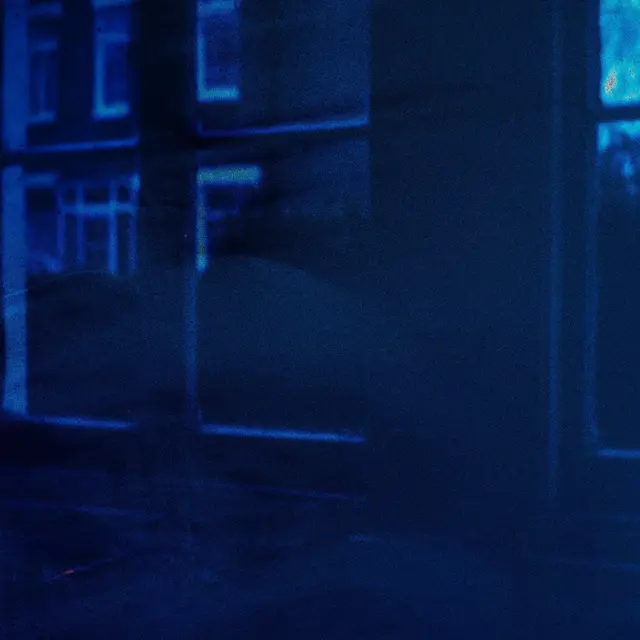 Pale Blue Eyes New Place (LP) 