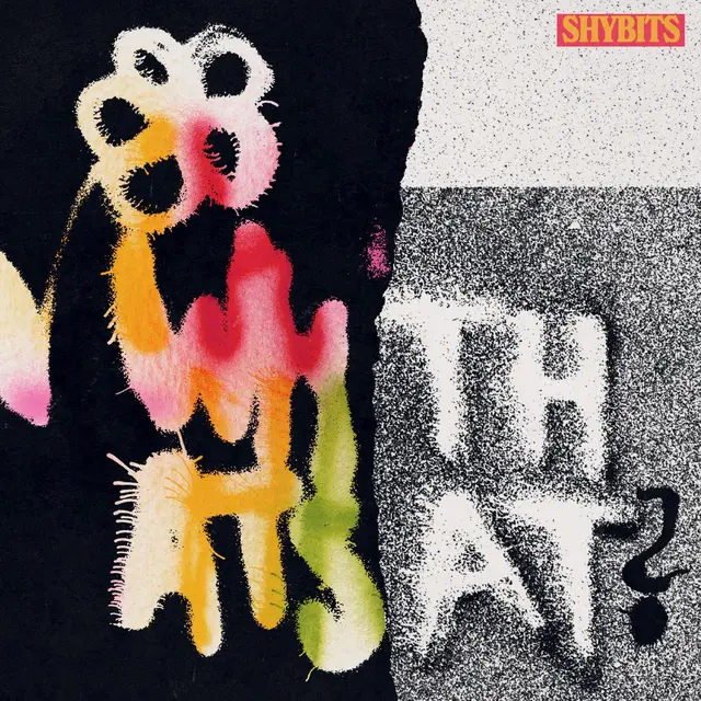 Shybits What's That? (LP) 
