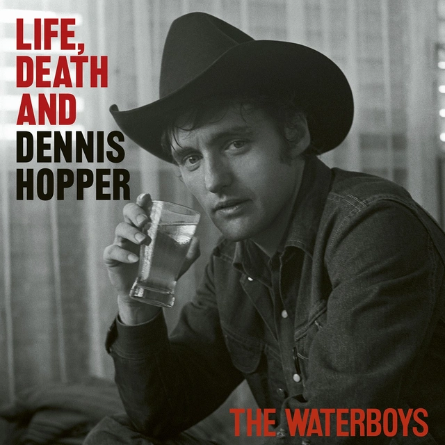 The Waterboys Life, Death & Dennis Hopper - LTD (2LP) 