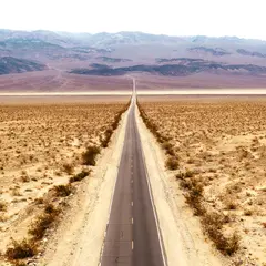 Tuomo &amp; Markus And Verneri Pohjola Music For Roads (LP)