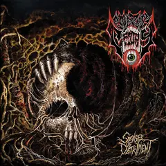 Cemetery Filth Senses Of Detriment (LP)