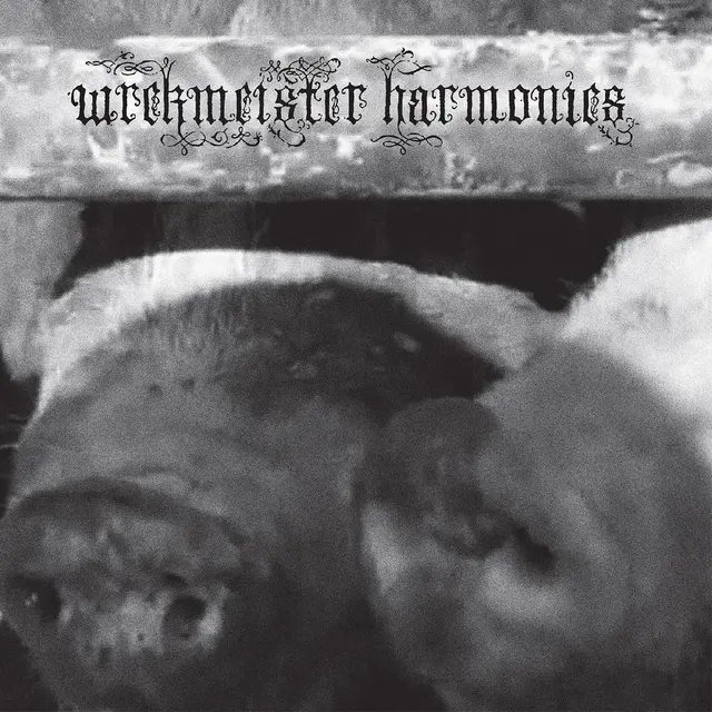 Wrekmeister Harmonies Flowers In The Spring (LP) 