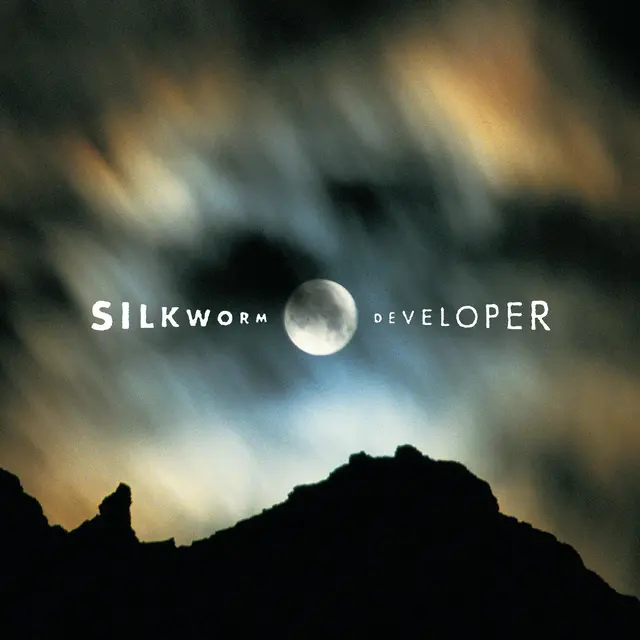 Silkworm Developer - Deluxe Edition (2LP) 