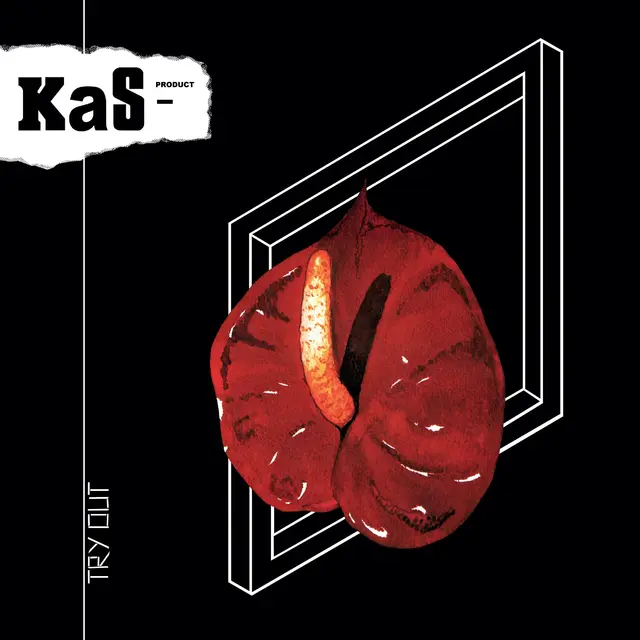 KaS Product Try Out (LP) 