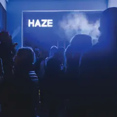 Fluxion Haze (2LP)