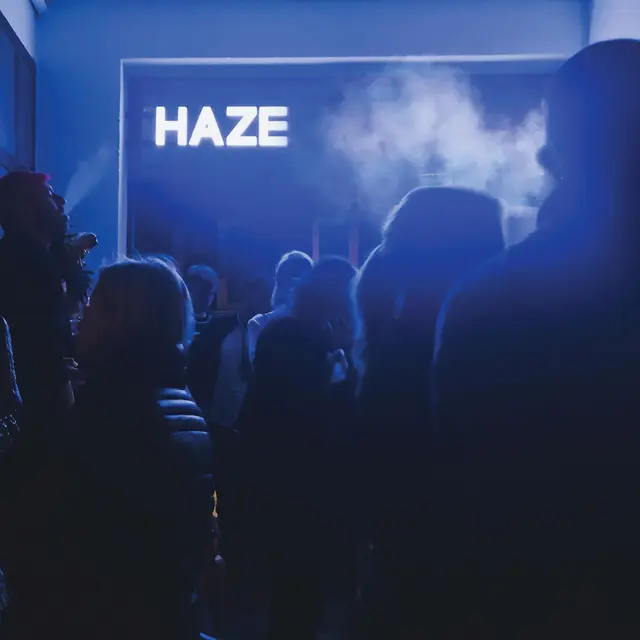 Fluxion Haze (2LP) 