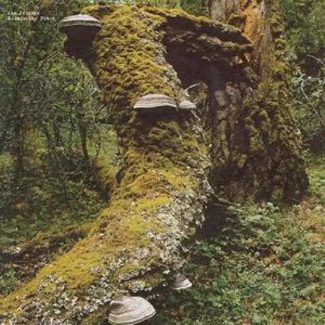 Jan Jelinek Kosmischer Pitch (LP) 
