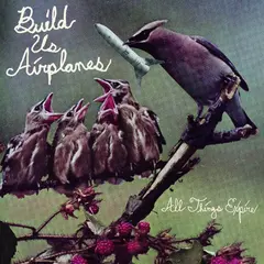 Build Us Airplanes All Things Expire (LP)