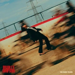 Bradley Simpson The Panic Years (CD)