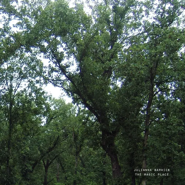 Julianna Barwick The Magic Place (LP) 
