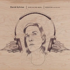 David Sylvian Died In The Wool - Manafon… (2LP)