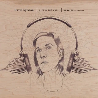 David Sylvian Died In The Wool - Manafon… (2LP)