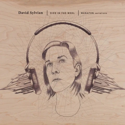 David Sylvian Died In The Wool - Manafon… (2LP) 