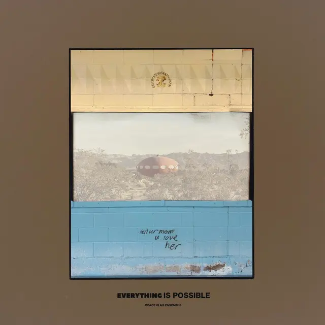Peace Flag Ensemble Everything Is Possible (LP) 