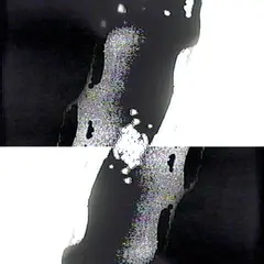 Jesse Justice Temporary (LP)