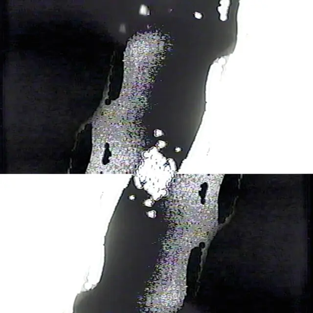Jesse Justice Temporary (LP) 