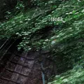 Jalvvi Niillas Holmberg Luodik (2LP)