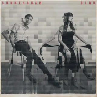 Andrew Bird &amp; Madison Cunningham Cunningham Bird - LTD (LP)