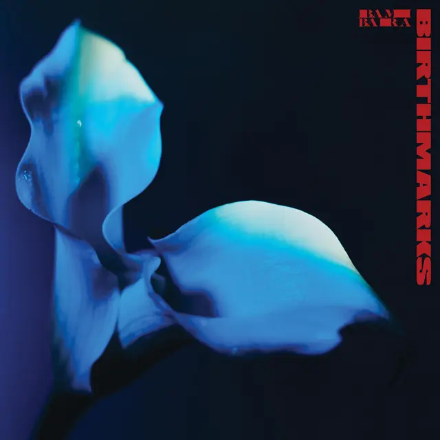 Bambara Birthmarks - LTD (LP) 