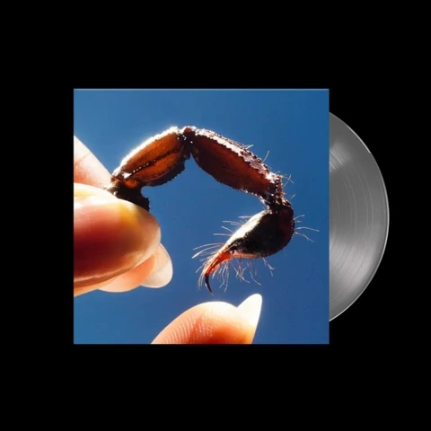 Squid Cowards - LTD (LP) 