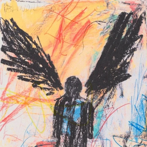 The Murder Capital Blindness (LP) 