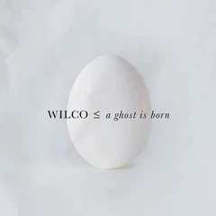 Wilco A Ghost Is Born: 20th Anniversary… (2LP)
