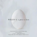 Wilco A Ghost Is Born: 20th Anniversary… (2CD)