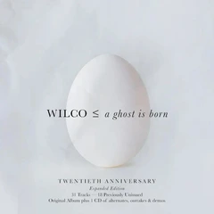 Wilco A Ghost Is Born: 20th Anniversary… (2CD)
