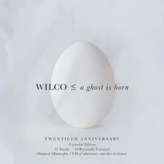 Wilco A Ghost Is Born: 20th Anniversary… (2CD)