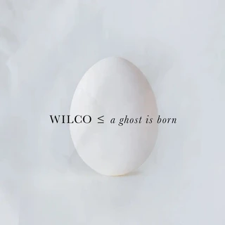 Wilco A Ghost Is Born: 20th… - LTD (9LP+4CD)