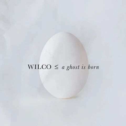 Wilco A Ghost Is Born: 20th… - LTD (9LP+4CD) 