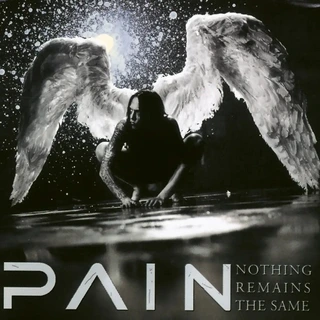 Pain Nothing Remains The Same (CD)