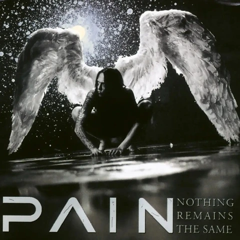 Pain Nothing Remains The Same (CD) 