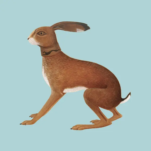 Vashti Bunyan Lookaftering - Expanded Edition (2LP) 