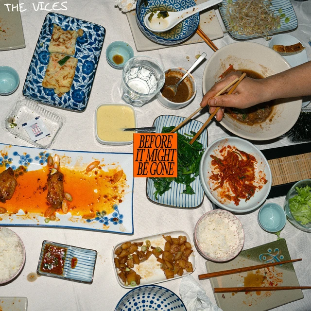 The Vices Before It Might Be Gone (CD) 