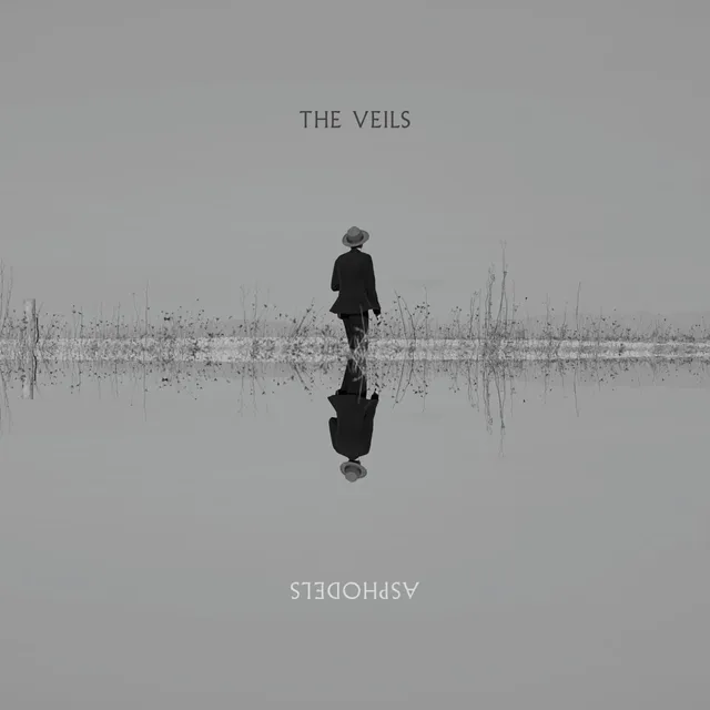 The Veils Asphodels (LP) 