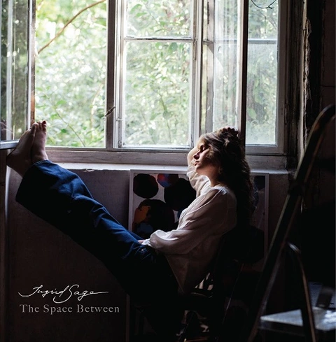 Ingrid Saga The Space Between (LP) 