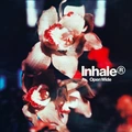 Inhaler Open Wide (LP)
