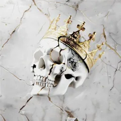 Jelly Roll Beautifully Broken (LP)