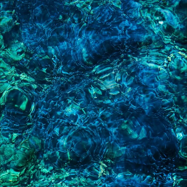 Ichiko Aoba Luminescent Creatures (LP) 