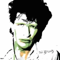 Herman Brood &amp; His Wild Romance The Brood - LTD (LP)