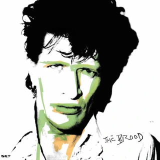 Herman Brood &amp; His Wild Romance The Brood - LTD (LP)