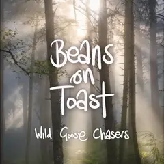 Beans On Toast Wild Goose Chasers - LTD (LP)
