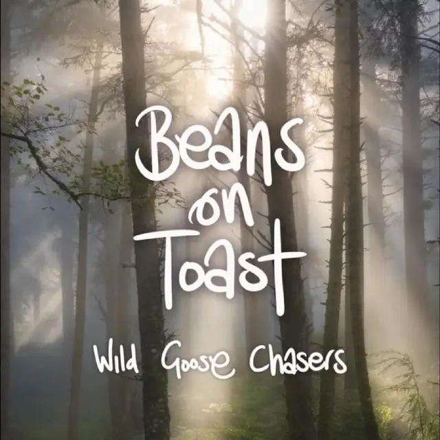 Beans On Toast Wild Goose Chasers - LTD (LP) 